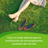 Offerta Promozionale Funsol Powder 3x60gr Trio Pack