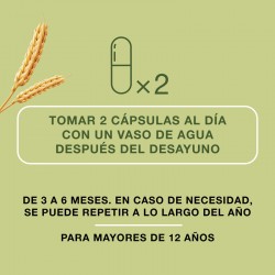 PRIORIN Cápsulas Pacote 2x60 Cápsulas