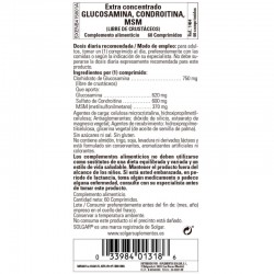 SOLGAR Glucosamin Chondroitin MSM Konzentrat 60 Tabletten