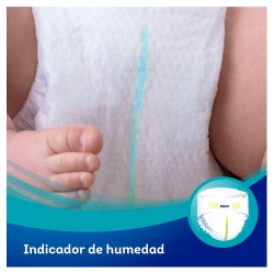 DODOT Pro Sensitive Tamanho 2 (de 4 a 8kg) 36 Unidades