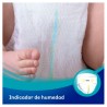 DODOT Pro Sensitive Taglia 2 (da 4 a 8 kg) 36 Unità