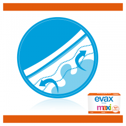EVAX Maxi Slipeinlage 40 Einheiten