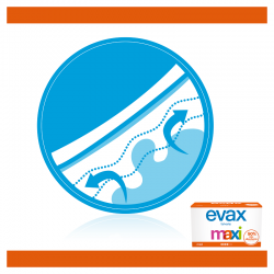 EVAX Salvaslip Maxi 40 Unidades