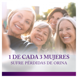 AUSONIA Discreet Normal Compress 12 Units