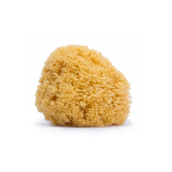 SUAVINEX Large Natural Sponge