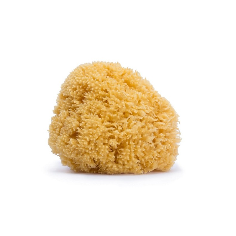 Natural Sponge - Small