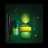 RENE FURTERER Triphasic Progressive 8 Flaschen