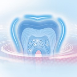ORAL-B Elektrische Zahnbürste 1 Professionelles Reinigungslabor