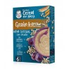 GERBER Vollkorn-Haferbrei mit Pflaume +6 Monate 250g