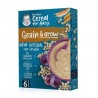 GERBER Papillas Avena Integral con Ciruela +6 Meses 250g