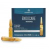 ENDOCARE Ampolas Tensage 20x2ml