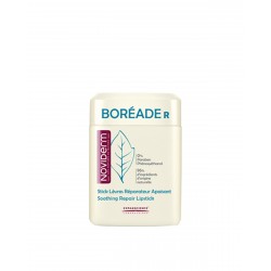 NOVIDERM Boréade R Stick Riparazione 9.2G