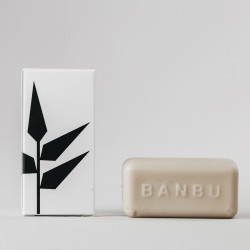 BANBU Après-Shampooing Naturel Solide Parfum Fruité 50gr
