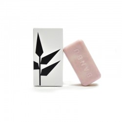BANBU Après-Shampooing Naturel Solide Parfum Fruité 50gr