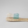 BANBU Brosse à dents en bambou vert moyen