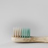 BANBU Spazzolino da denti in bambù verde per bambini