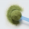 PROTEINE VITALI Peptidi di collagene Matcha 341g