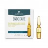 ENDOCARE Flash Repair Intensive Ampoules 7x1ml