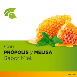 STREPHERBAL Saveur Propolis et Mélisse Miel 16 pastilles