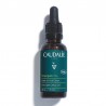 CAUDALIE Vinergetic C+ Detox Nachtöl 30ml