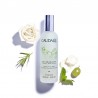 CAUDALIE Schönheitswasser 100ml