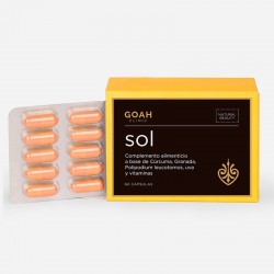 GOAH CLINIC Sol 60 capsules