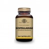 SOLGAR Skullcap 50 capsule vegetali
