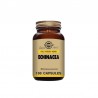 SOLGAR Echinacea 100 Vegetable Capsules