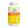 AQUILEA Gelenke Kollagen + Magnesium 240 Tabletten