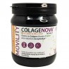 COLAGENOVA Mobility Vanillegeschmack 390gr