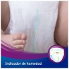 DODOT Activity Talla 5 (11-16 kilos) 52 Unidades