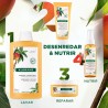 KLORANE Baume Conditionnant Mangue pour Cheveux Secs 200 ml