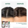 KLORANE Après-Shampooing à la Quinine et à l'Edelweis BIO 200 ml