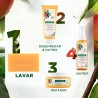 KLORANE Solid Mango Shampoo 80gr