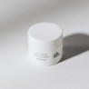 Gema Herrerías 10 AHA Peeling Chimico 20 ml