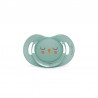 SUAVINEX Premium Bonhomía Sucette Tétine Physiologique en Silicone 6-18 Mois (Chouette Verte)