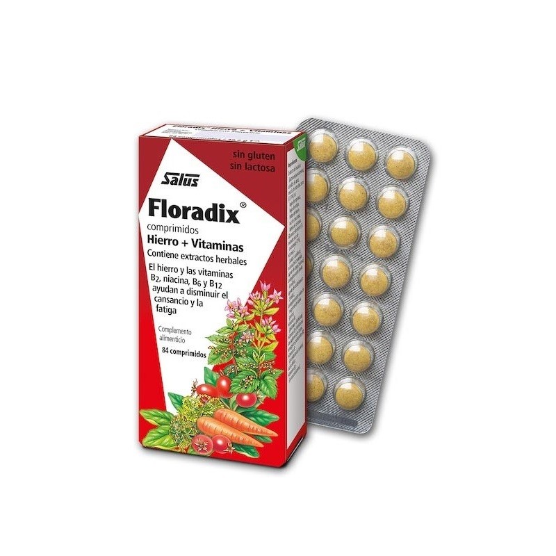 FLORADIX Eisen + Vitamine 85 Tabletten FLORADIX Eisen + Vitamine 85 Tabletten