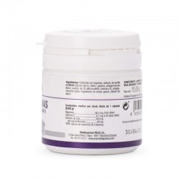 ANA MARÍA LAJUSTICIA Isoflavone Magnesium + Vitamin E 30 Kapseln