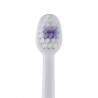 VITIS Baby Brosse à dents pour bébés