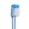 VITIS Medium Compact Zahnbürste + Aufhellungspaste 15ml GESCHENK