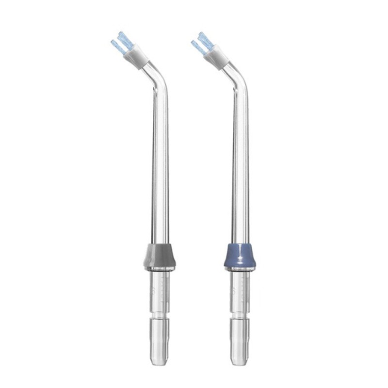 Piastra inaccessibile per ugello irrigatore di ricambio WATERPIK 2 unità