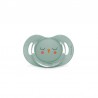 Chupeta SUAVINEX Bonhomía Tetina Anatômica de Silicone SX Pro 6-18 M (Coruja Verde)