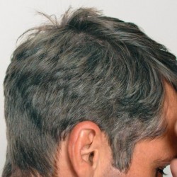 NUR FÜR MÄNNER Touch of Gray Chestnut T-35 (40g)