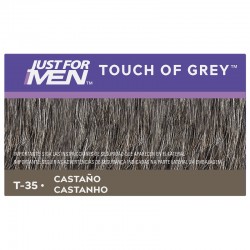 NUR FÜR MÄNNER Touch of Gray Chestnut T-35 (40g)