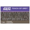 NUR FÜR MÄNNER Touch of Gray Chestnut T-35 (40g)