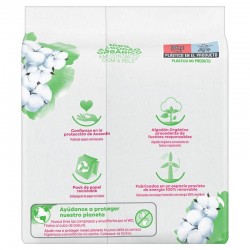 AUSONIA Compresse de Nuit Protection Coton avec Ailes 8 Unités