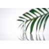 GERMINAL Fiale Siero viso all'acido ialuronico 30 fiale