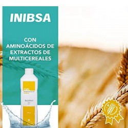 INIBSA Gel Dermatológico Multigrãos 1000ml