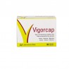 Laboratoires Viñas Vigorcap 90 Gélules