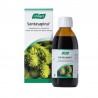 Sciroppo Santasapina 200 ml